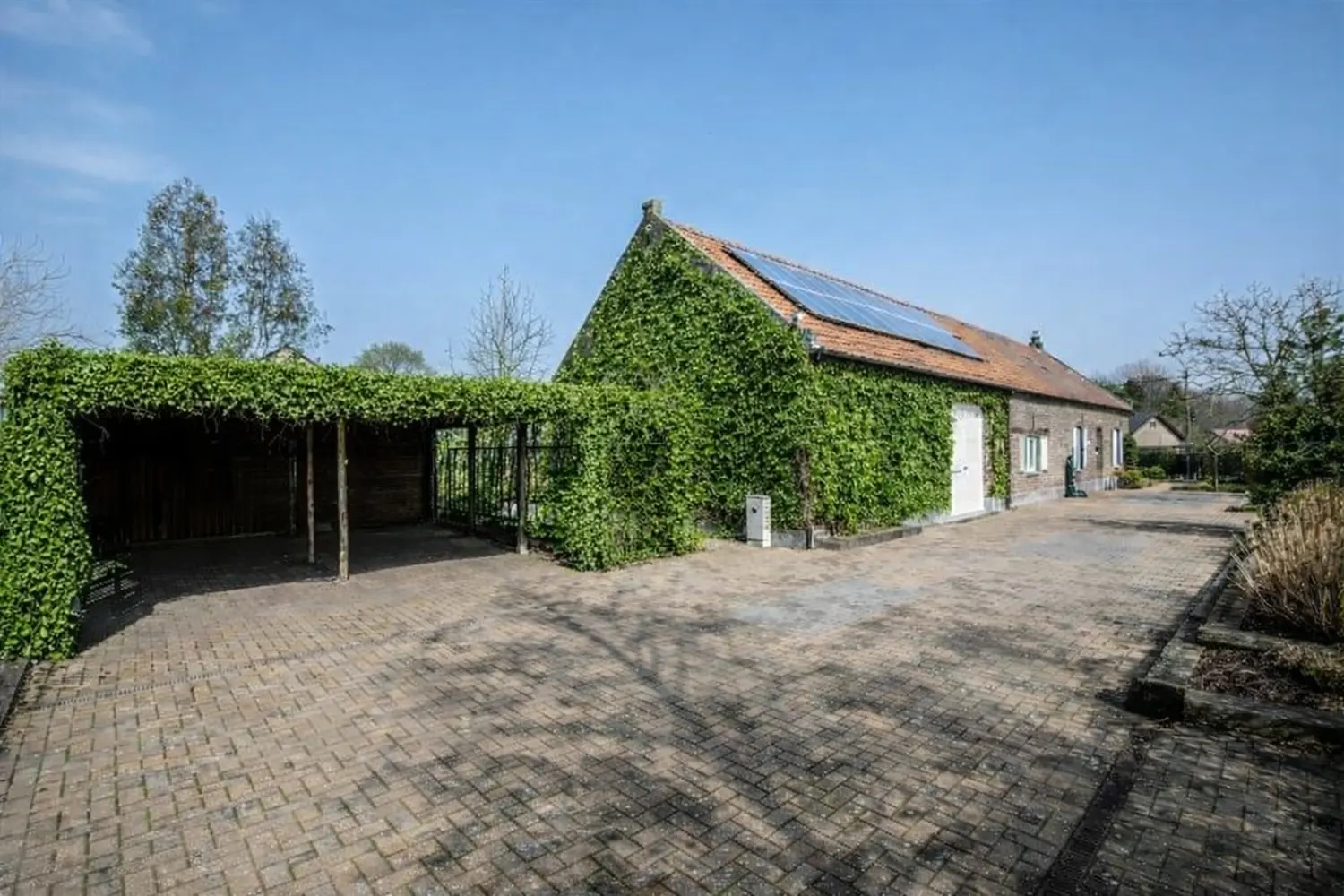 3746003319000046914_ChatGPT Image 17 feb 2026, 11_25_53.png