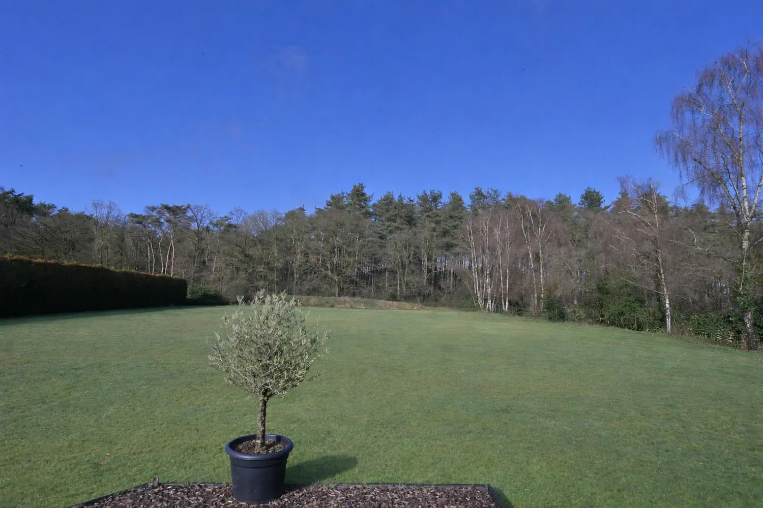 3746003319000047034_ChatGPT Image 17 feb 2026, 20_47_22.png